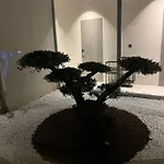 ヴィラ Cedrus Juršići