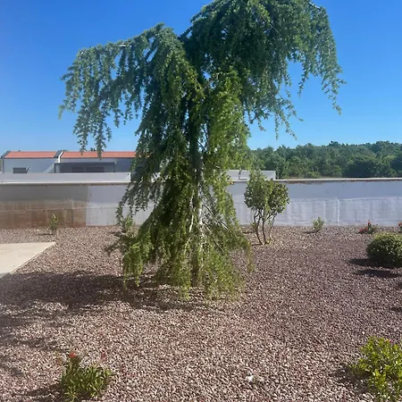 Cedrus Villa